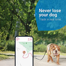 Load image into Gallery viewer, Tractive GPS DOG 4 - Dog Tracker. Always know where your dog is
