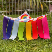 Load image into Gallery viewer, Guinea Pig Hidey Hammock - Rainbow
