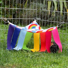 Load image into Gallery viewer, Guinea Pig Hidey Hammock - Rainbow
