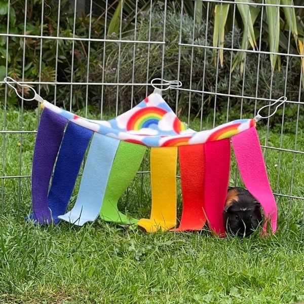Guinea Pig Hidey Hammock - Rainbow