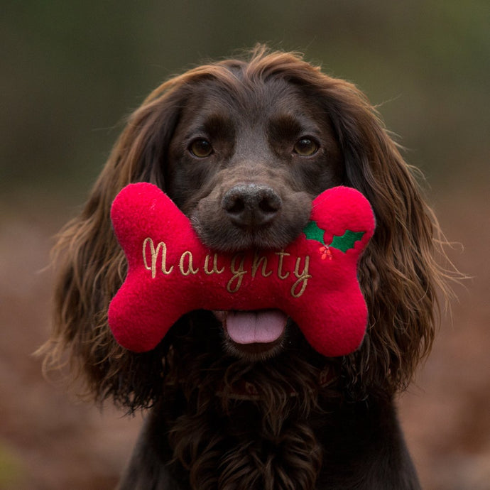 Ruffle Snuffle 'Naughty' Bone - snuffle mat by Ruffle Snuffle