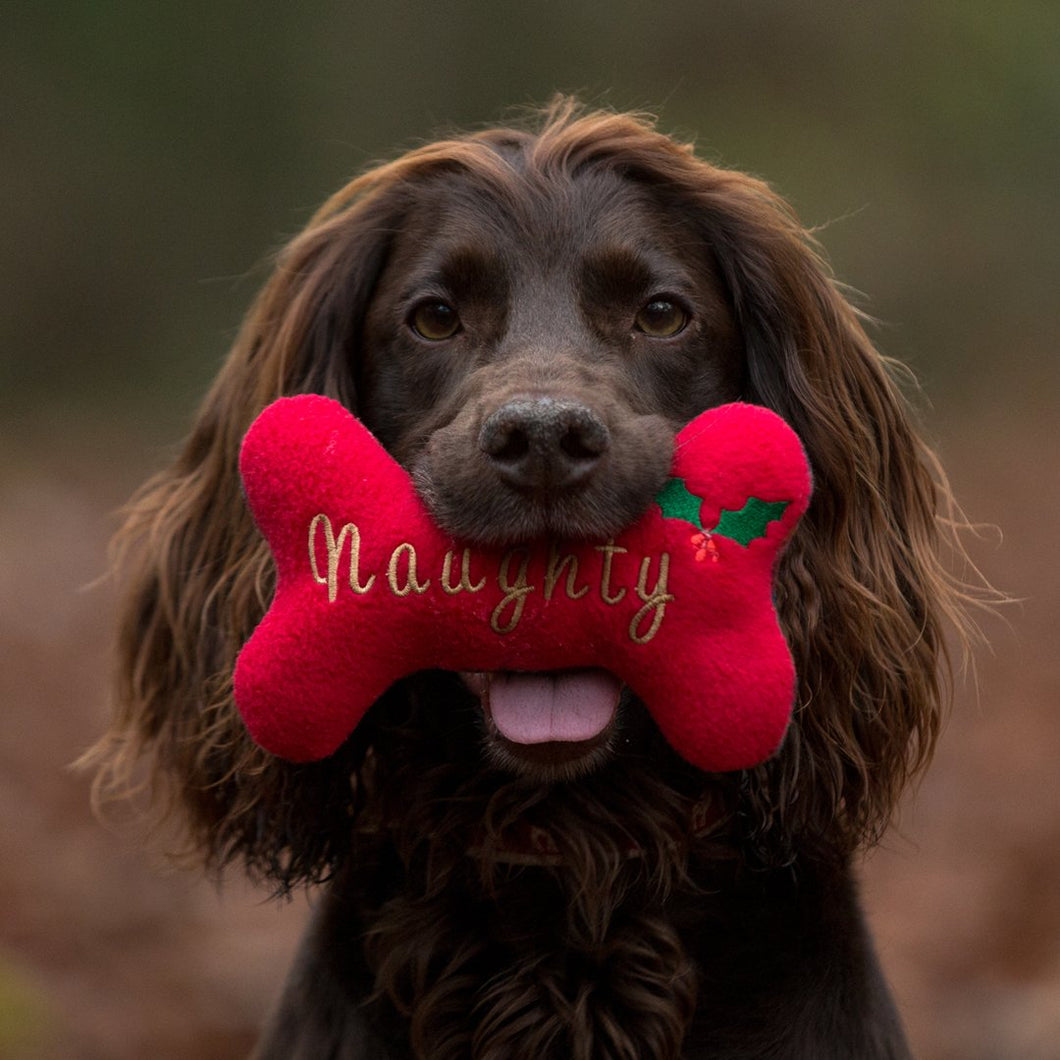 Ruffle Snuffle 'Naughty' Bone - snuffle mat by Ruffle Snuffle
