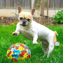 Load image into Gallery viewer, PetBloon - Dog Balloon Ball Enrichment Toy
