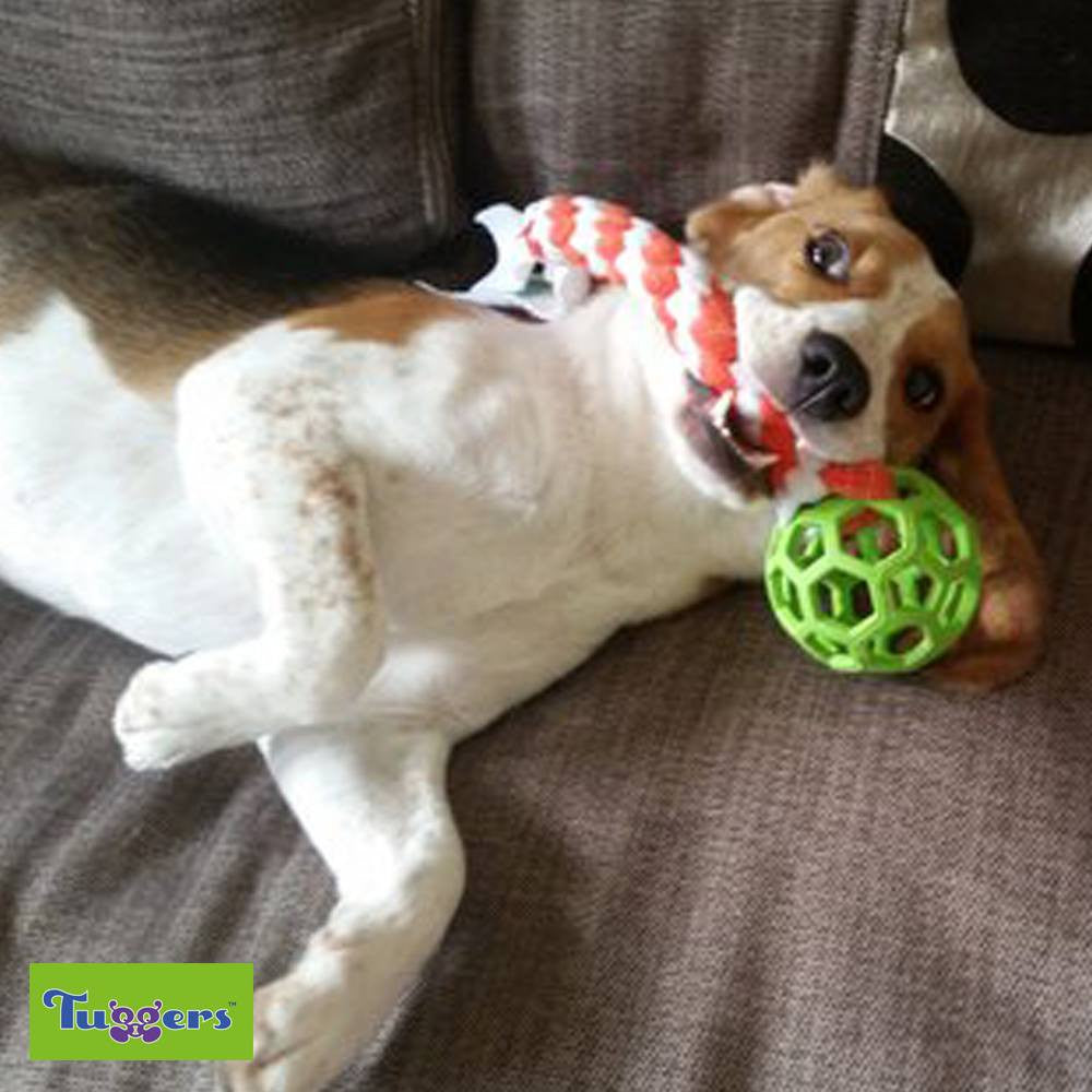 Tuggers Pop - Tug'n'Treat - snuffle mat by Ruffle Snuffle