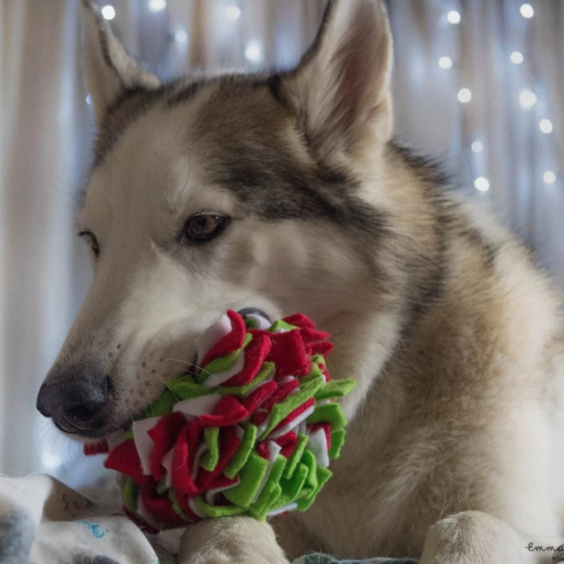 Christmas Edition - Ruffle Train'n'Treat Ball - - snuffle mat by Ruffle Snuffle