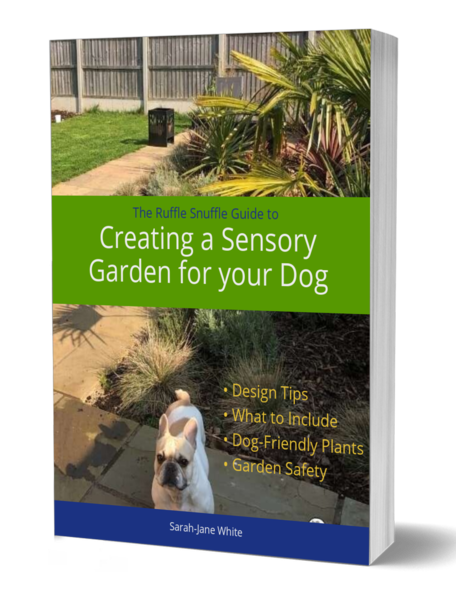 Creating a Sensory Garden for your Dog [Step-by-Step Guide]