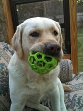 Load image into Gallery viewer, Enrichment Treat Balls - snuffle mat by Ruffle Snuffle
